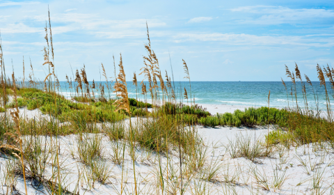 Bear Creek: Minutes From Florida's Scenic Highway 30A