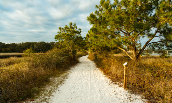 Nature Trails